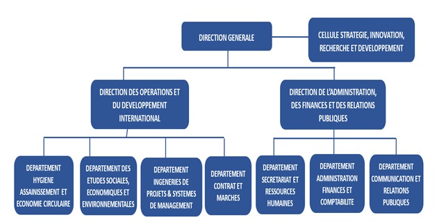 Organigramme CESDD