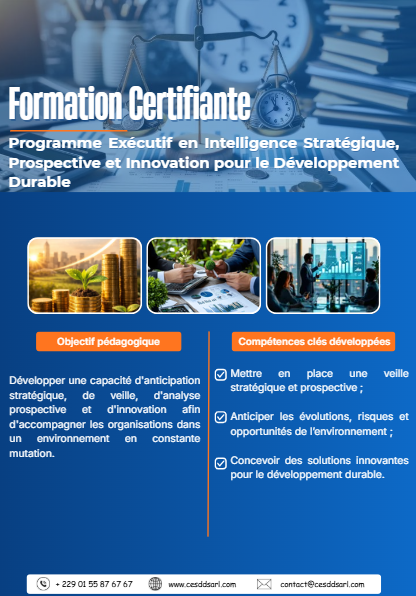 Programme Exécutif en Intelligence Stratégique, Prospective et Innovation pour le Développement Durable