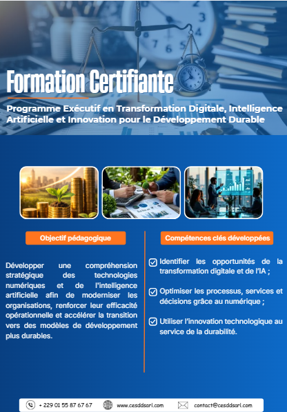 Programme Exécutif en Transformation Digitale, Intelligence Artificielle et Innovation pour le Développement Durable